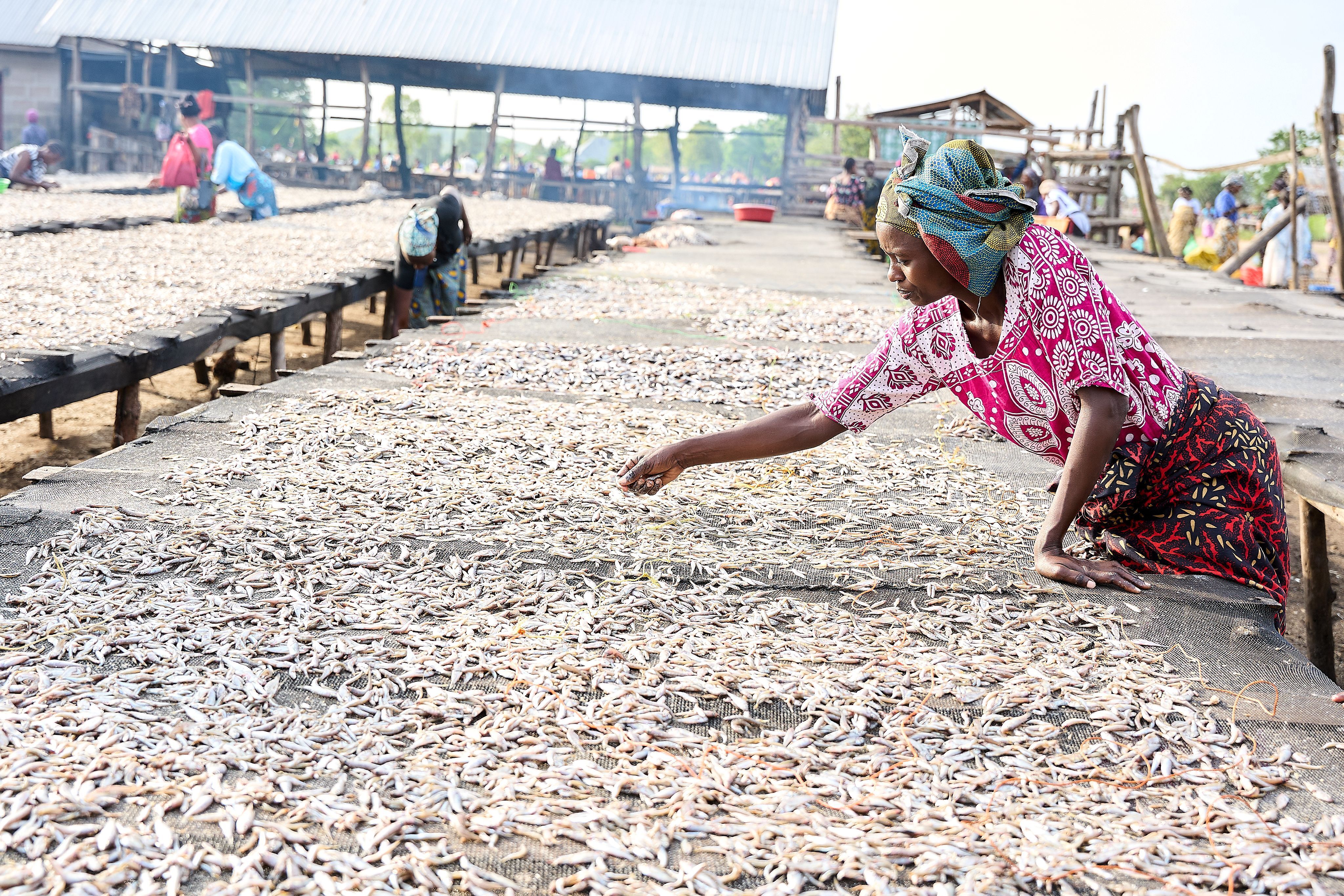 Millennium Engineers