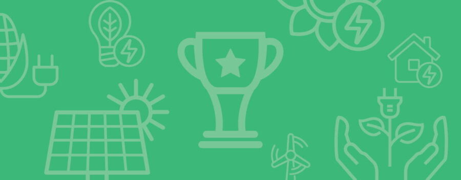 EEP project of the year / Eco-Fuel Africa