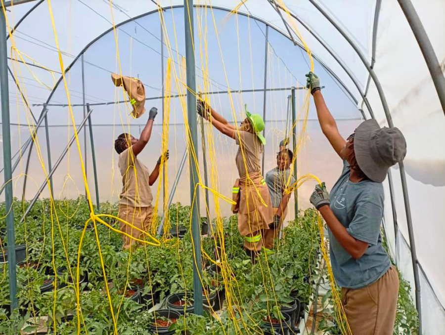 EEP Africa Secures Additional EUR 5 Million Funding from Switzerland to Accelerate Clean Energy Access