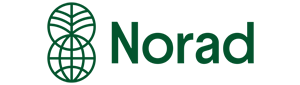 Norad Logo